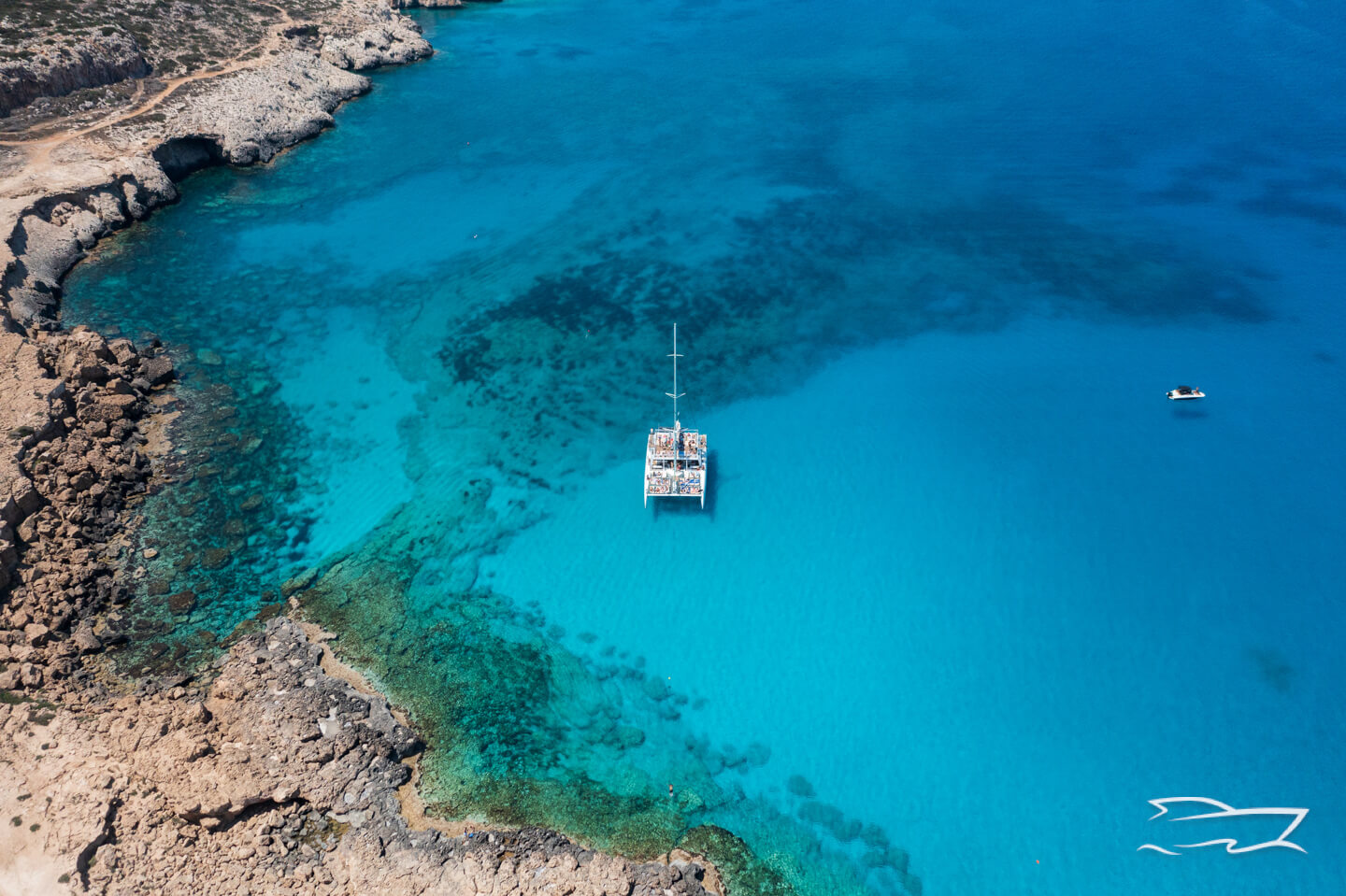 catamaran charters larnaca